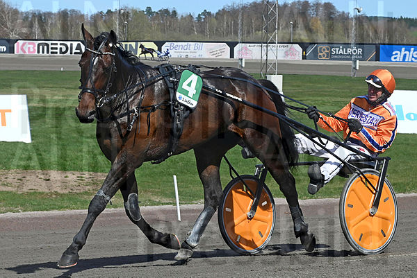 Michel F.Boko def DSC_2642.t643fd538.m600.w.4salnwmark2.png.xHNKm_B_b.jpg