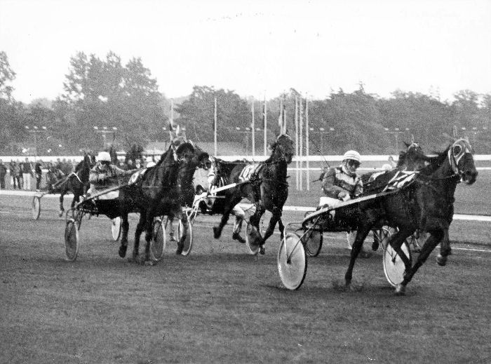 Nanneke Hanover G Jubileumprijs 78.jpg