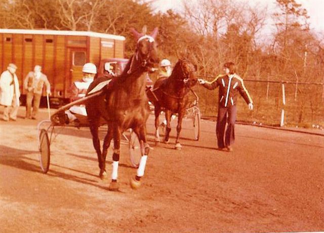 Nanneke Hanover 01.jpg