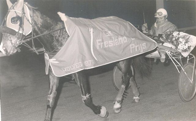 Massel T GP Friesland (1).jpg