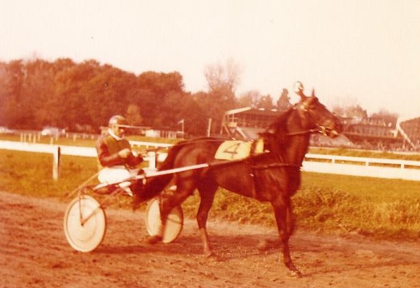 Nora Hanover 01.jpg