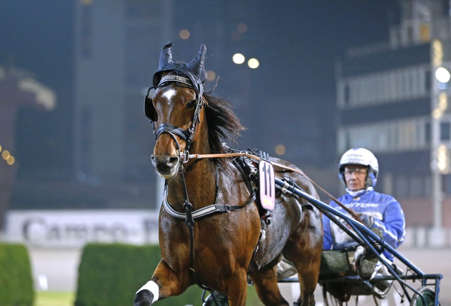 Antonio_Trot_huvud_uxe41o.jpg