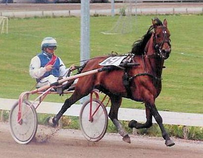 Wish of Thijssen 01.jpg