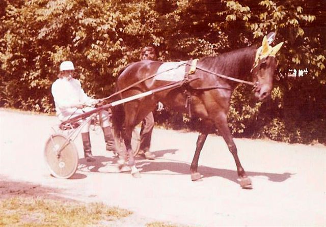 Lenie Bloemlust 01.jpg