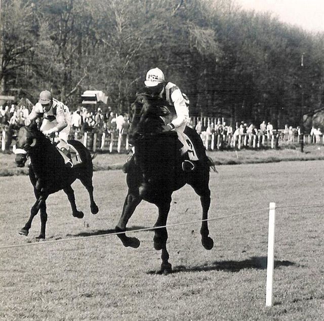 Dark Horse H Productenren 73.jpg