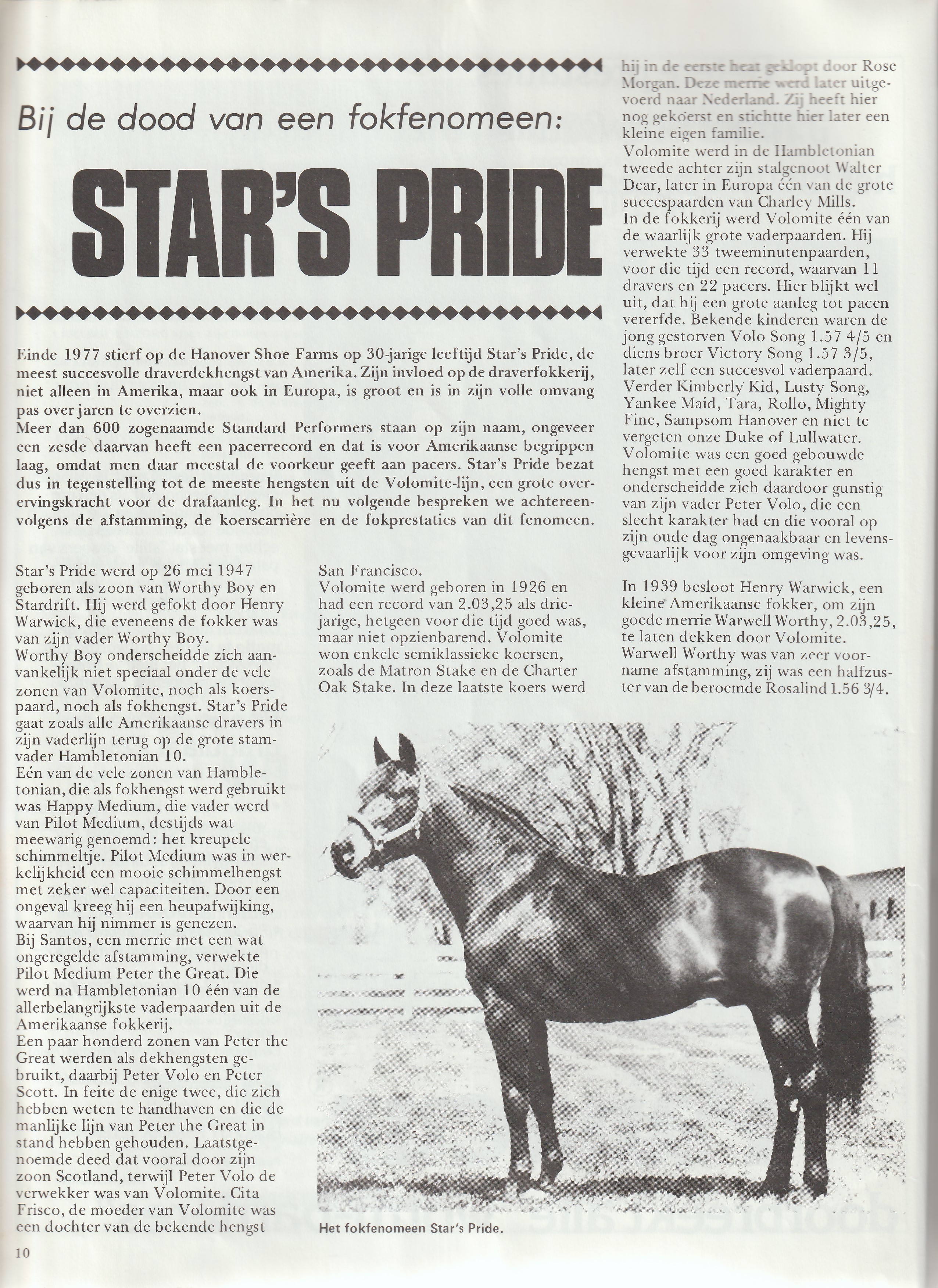 Star Pride 1 res77.jpg