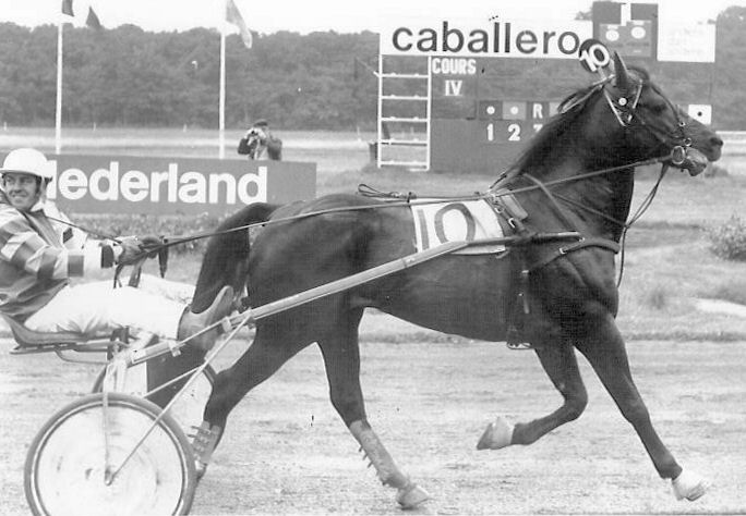 Lepelaar 26-6-1977.jpg
