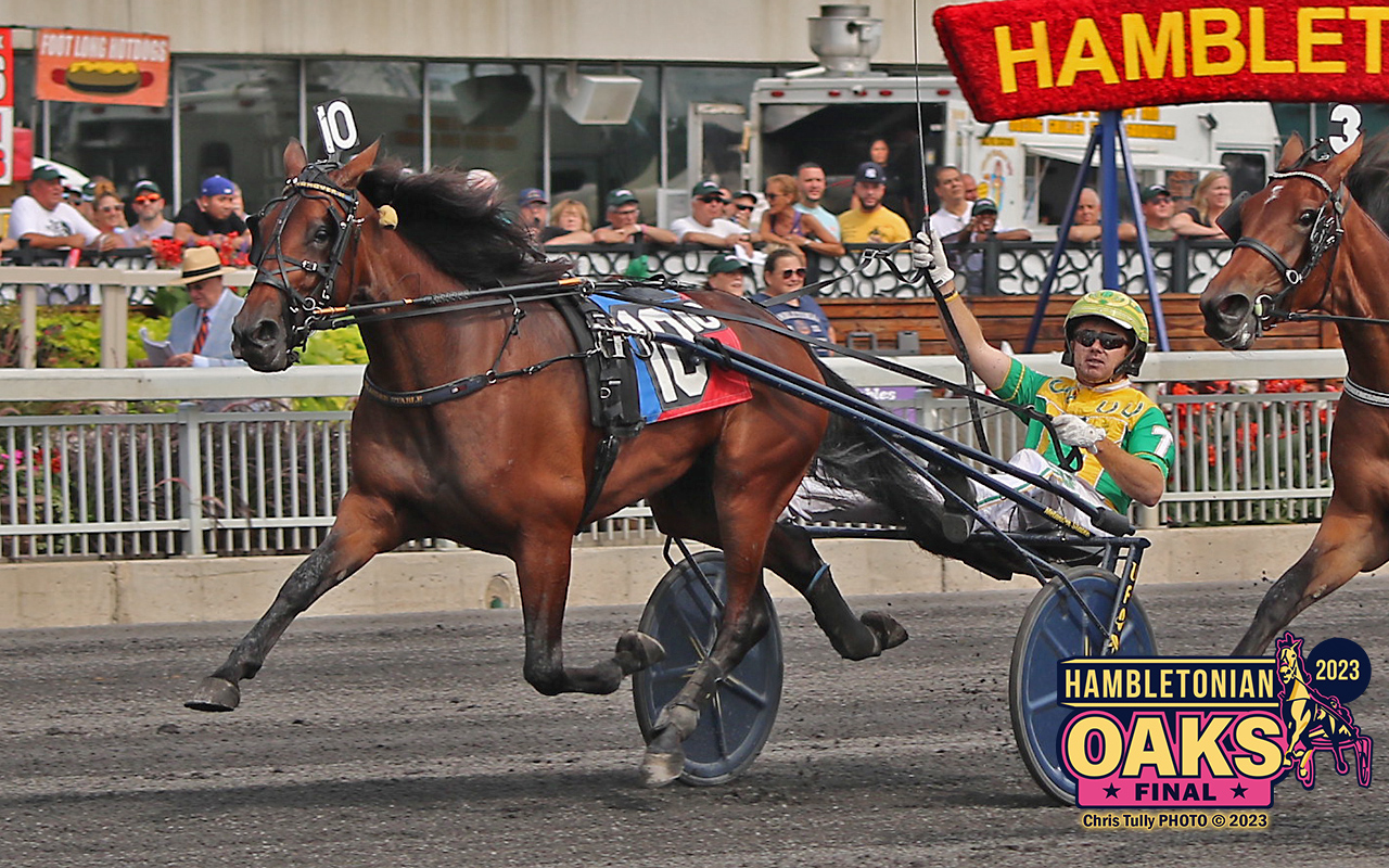 Heaven-Hanover-winning-the-Hambo-Oaks-Chris-Tully-Photo.jpg