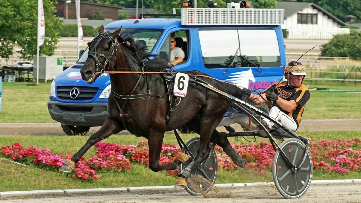 w1200_h675_x750_y421_bln-230801-derby2-99f91c806fe64466.jpeg