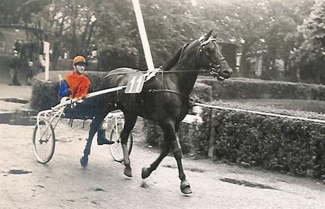 Axkit Hollandia 01 (2).jpg