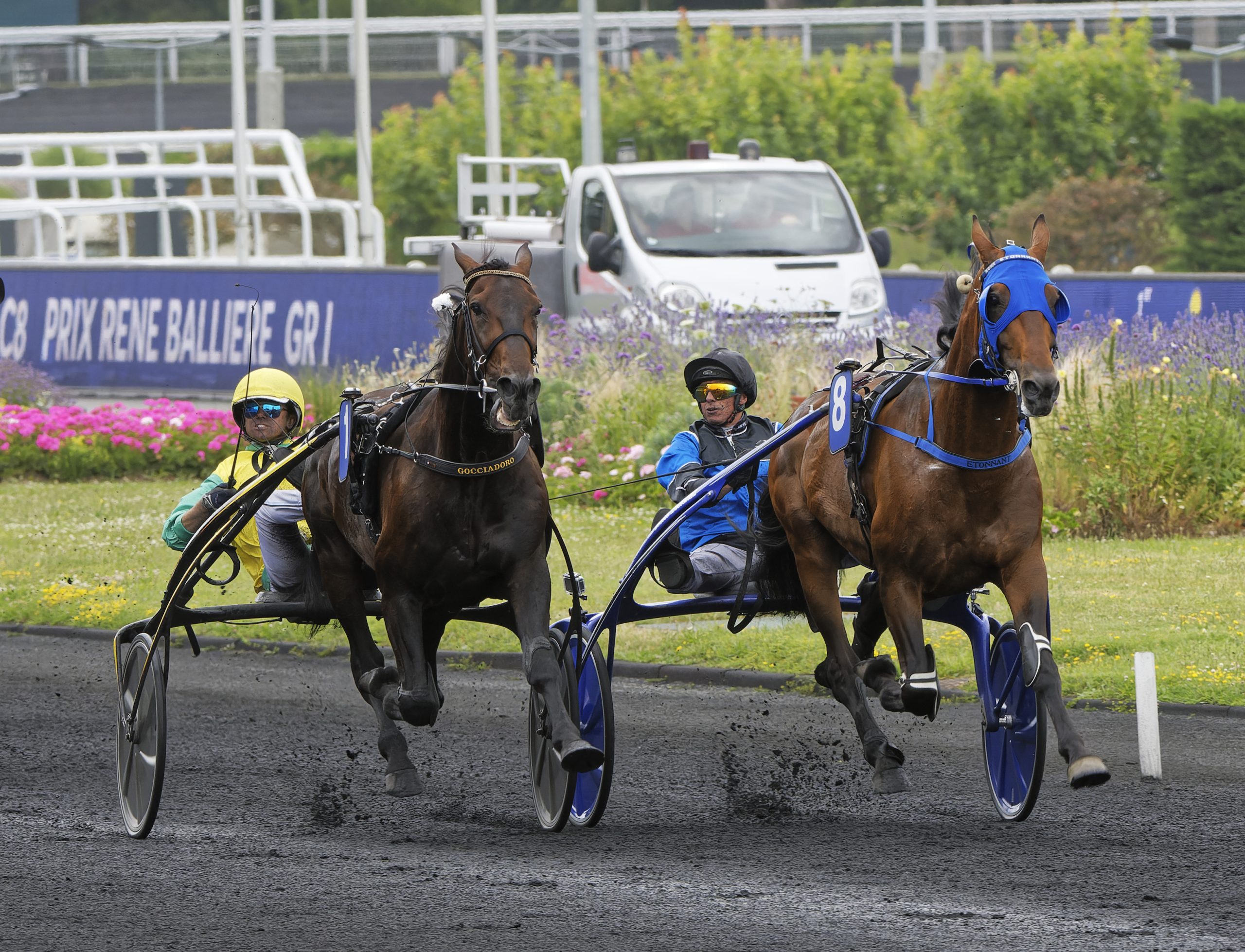 Vivid-Wise-As-outside-Ettonant-inside-Vincennes-LeTrot-Jean-Luc-LAMAERE-photo-scaled.jpg