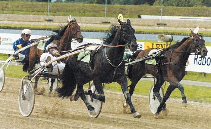 Koos van Camstra KNP 2000.jpg