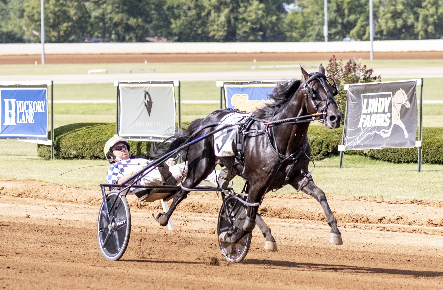 9-4-23-Confederate-setting-world-record-at-Red-Mile.jpg
