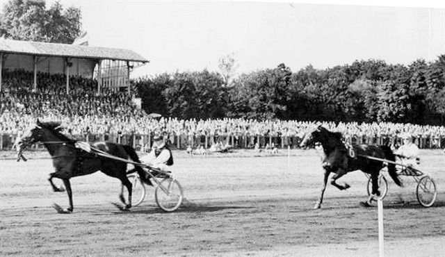 Vanadis Derby V voor Vitalis.jpg
