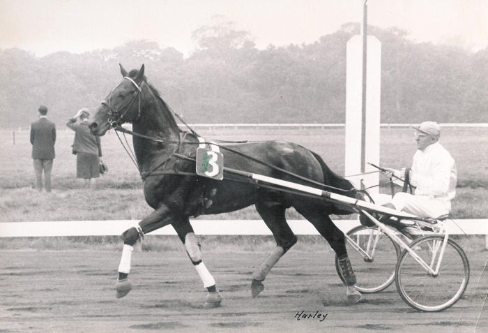 Harley in 1961 (1).jpg