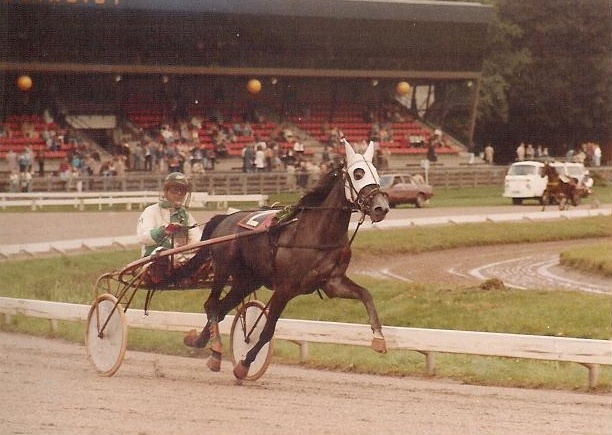 Zvetlana Hanover 01 (2).jpg