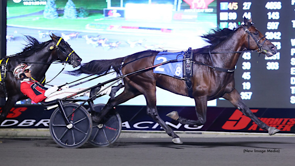 Alrajah-One-IT-Maple-Leaf-Trot-1024px.jpg