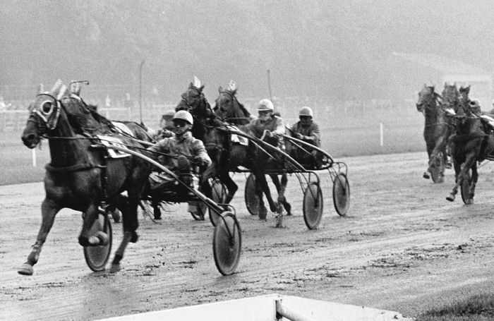 Varinsja 15-9-84.jpg
