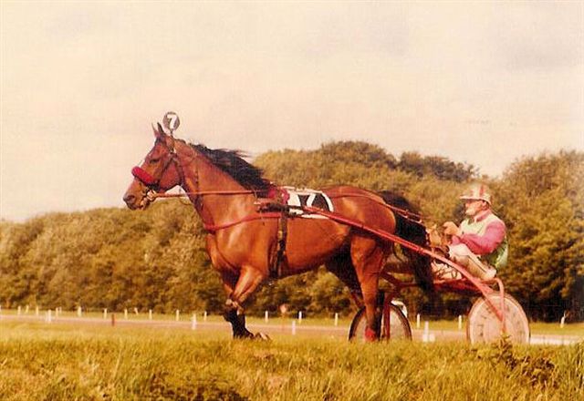 Regina Hanover 01.jpg