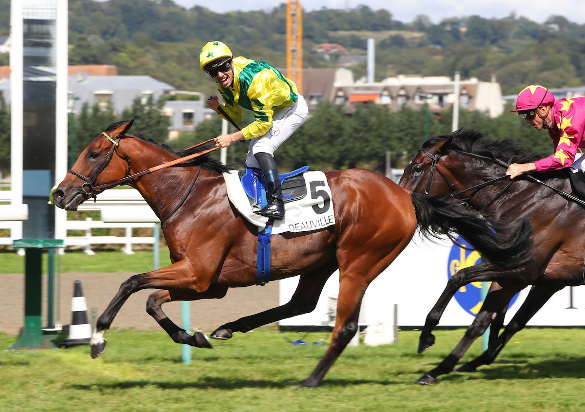 Ace_Impact_15.08.23-d3.jpg