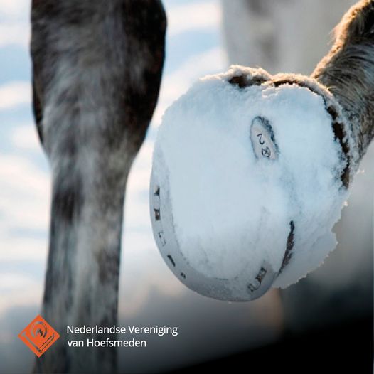 Sneeuw ijzer.jpg