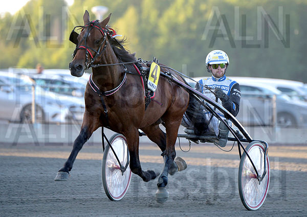 First Wise L. heat.t64f74c52.m600.w.4salnwmark2.png.xnxXlgRr7.jpg