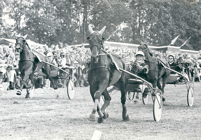 GS1976 Lou Spencer a.jpg