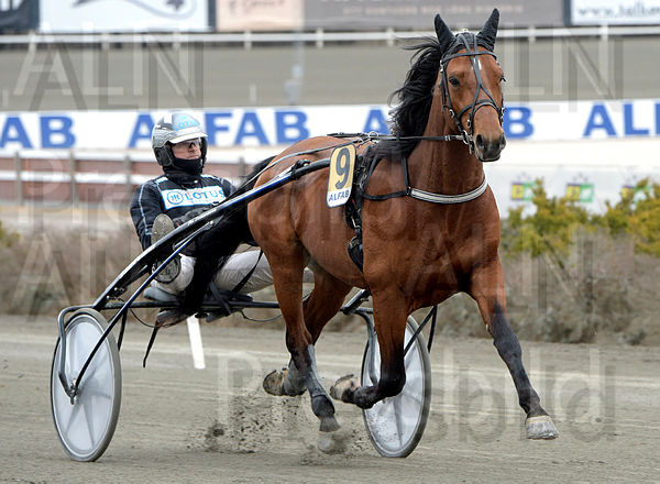 Mangiapane heat.t64302b04.m600.w.4salnwmark2.png.xTEpllQEa.jpg