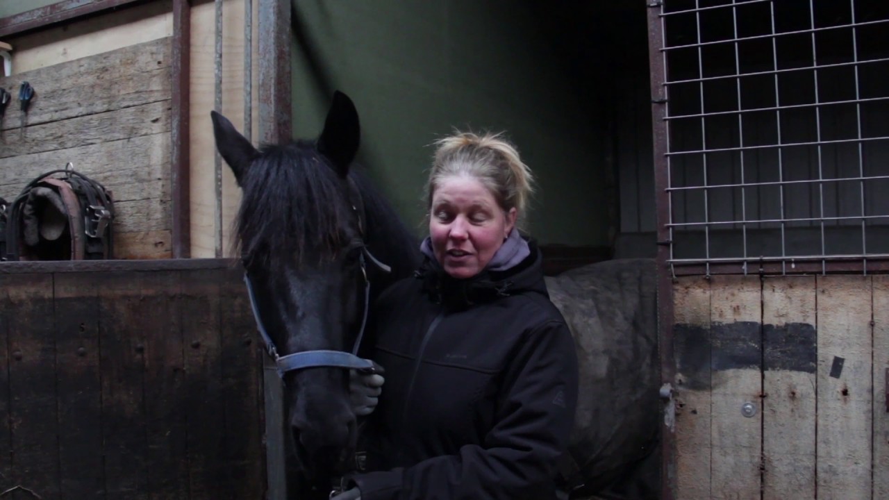 maxresdefault (2).jpg