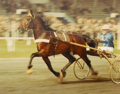 Kamo Quick 12-4-72.jpg
