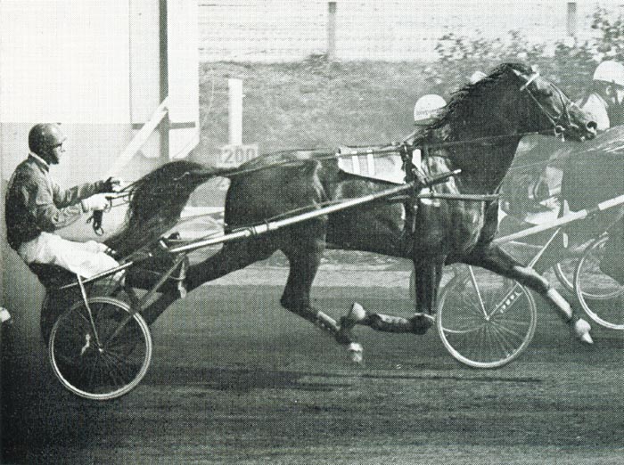 Uriosis P.jpg