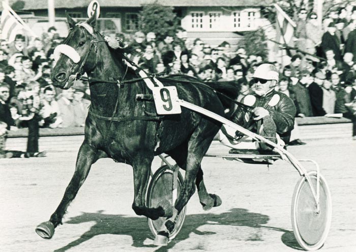 9 Kees Verkerk 75.jpg