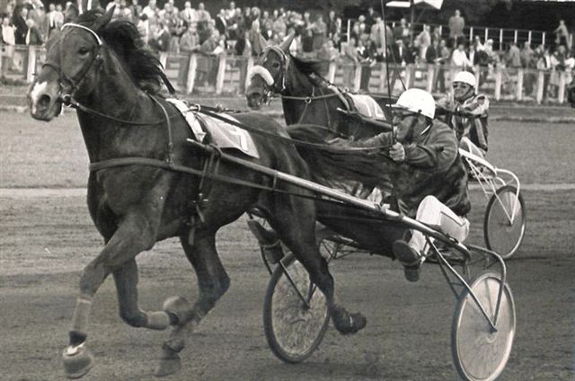 Manderino H 31-5-1975.jpg