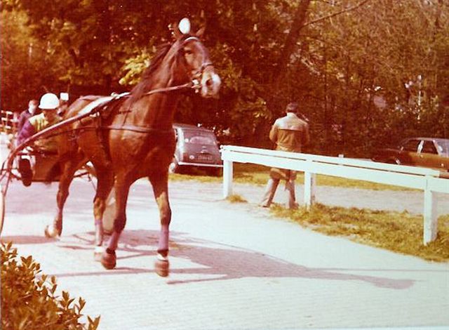 Manderino H 01.jpg