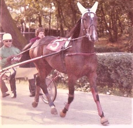 7 Habanera 73 (2).jpg