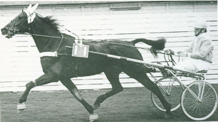 5 Christiaan de Wet 71.jpg