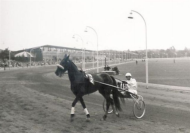 4 Eliza Harvester D 70.jpg