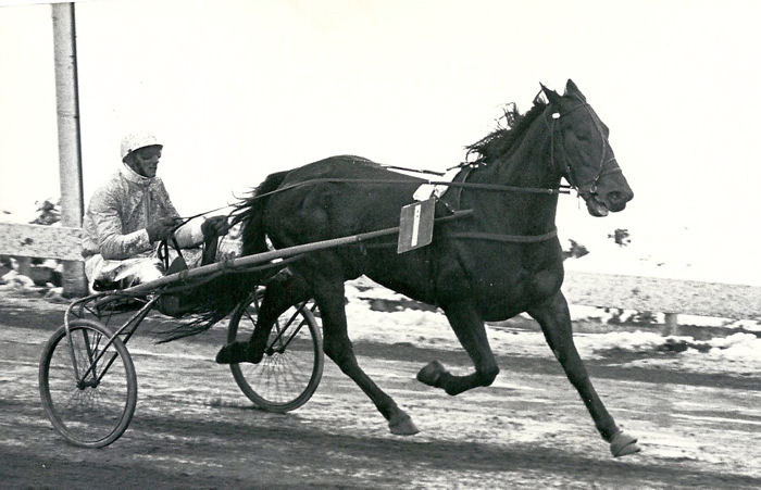 3 Eliza Harvester D 69.jpg