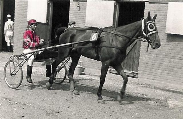 1 Yonker Hanover 1967.jpg