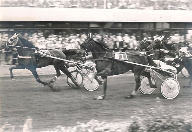 Nesstar Dear Joh Smitprijs 81.jpg