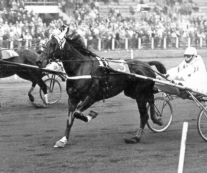 Gonda Scotch 4-11-72.jpg