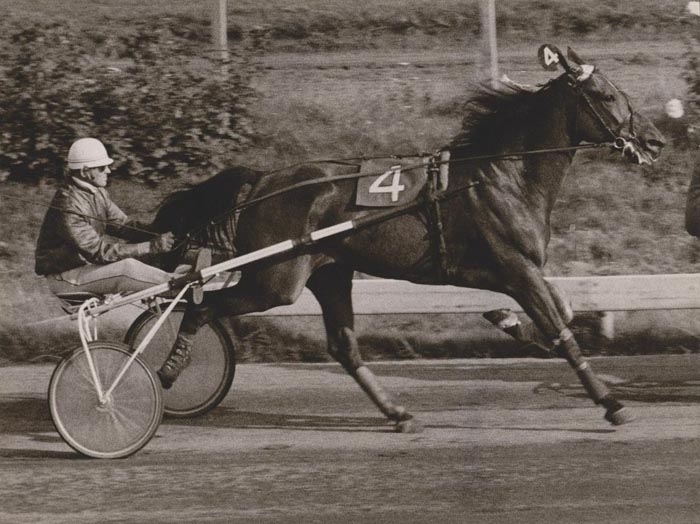 Ido Hanover en Rinus op Duindigt.jpg