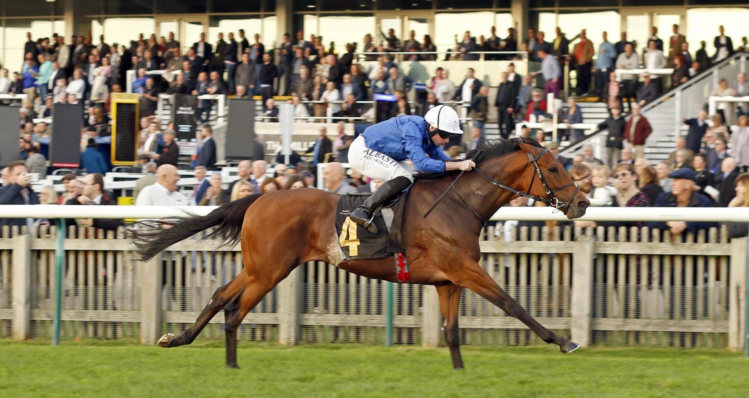 Ottoman Fleet - 1st - Listed James Seymour Stakes - Newmarket, UK - 29 October 2022 racingfotos_76636848802.jpg