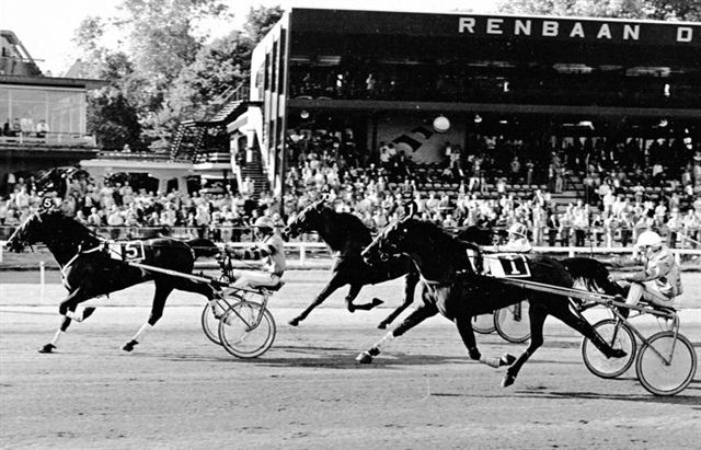 Perry Anjo 26-8-81.jpg