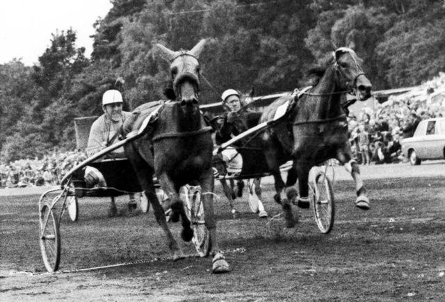 Ilse Hanover Sweepstakes.jpg