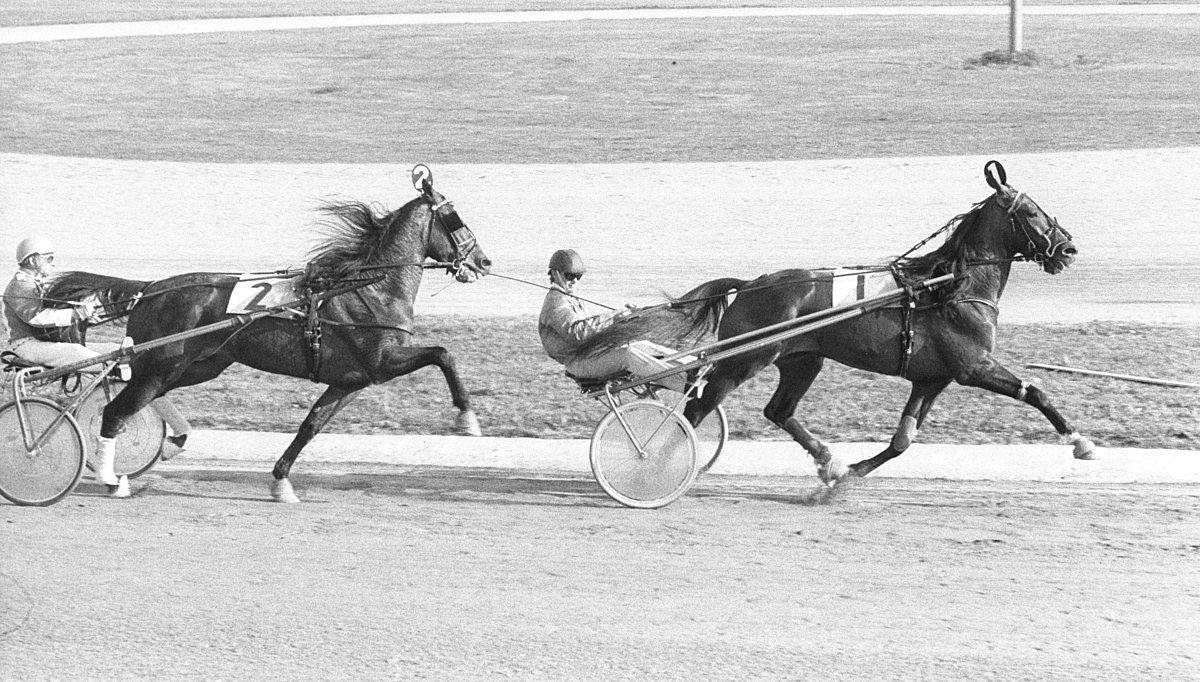 1200px-Ego_Boy_Elitloppet_1973_001.jpg