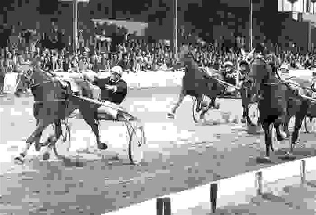 Olympia Hanover MImming (1).jpg