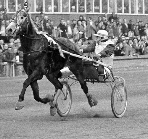 Loena 22-2-1976.jpg