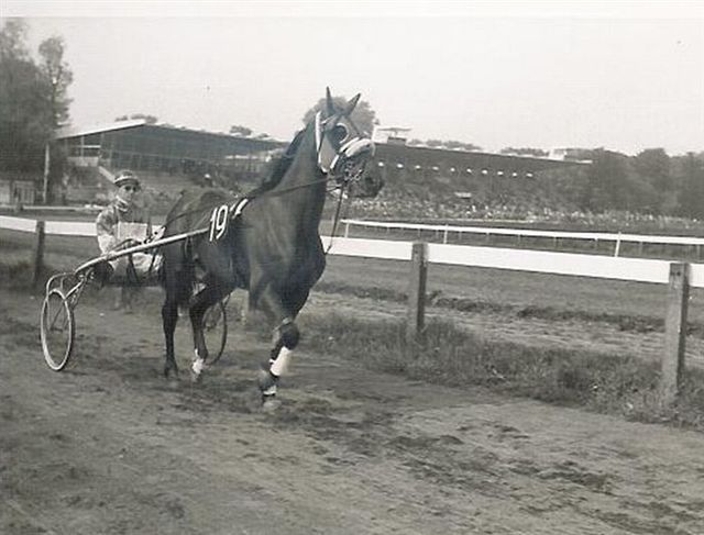 Grand Geste 01.jpg