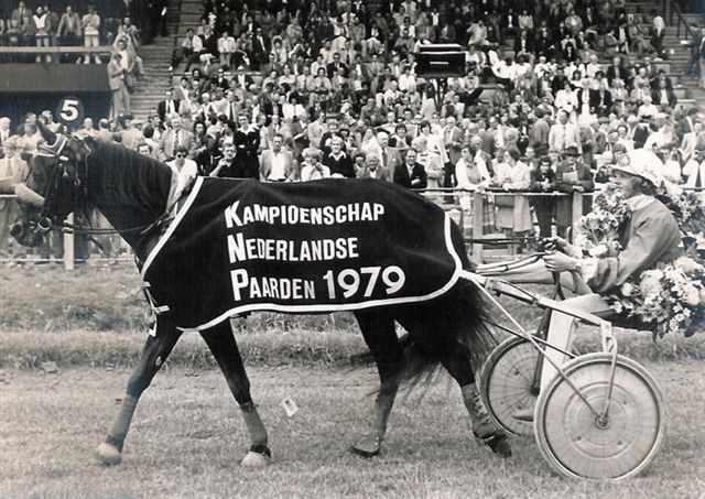 Pyreus Berkenhof KNP 79 ere.jpg